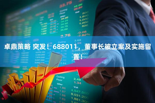 卓鼎策略 突发！688011，董事长被立案及实施留置！