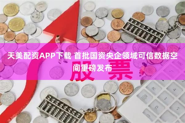 天美配资APP下载 首批国资央企领域可信数据空间重磅发布
