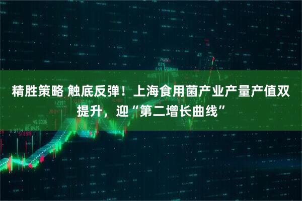 精胜策略 触底反弹！上海食用菌产业产量产值双提升，迎“第二增长曲线”